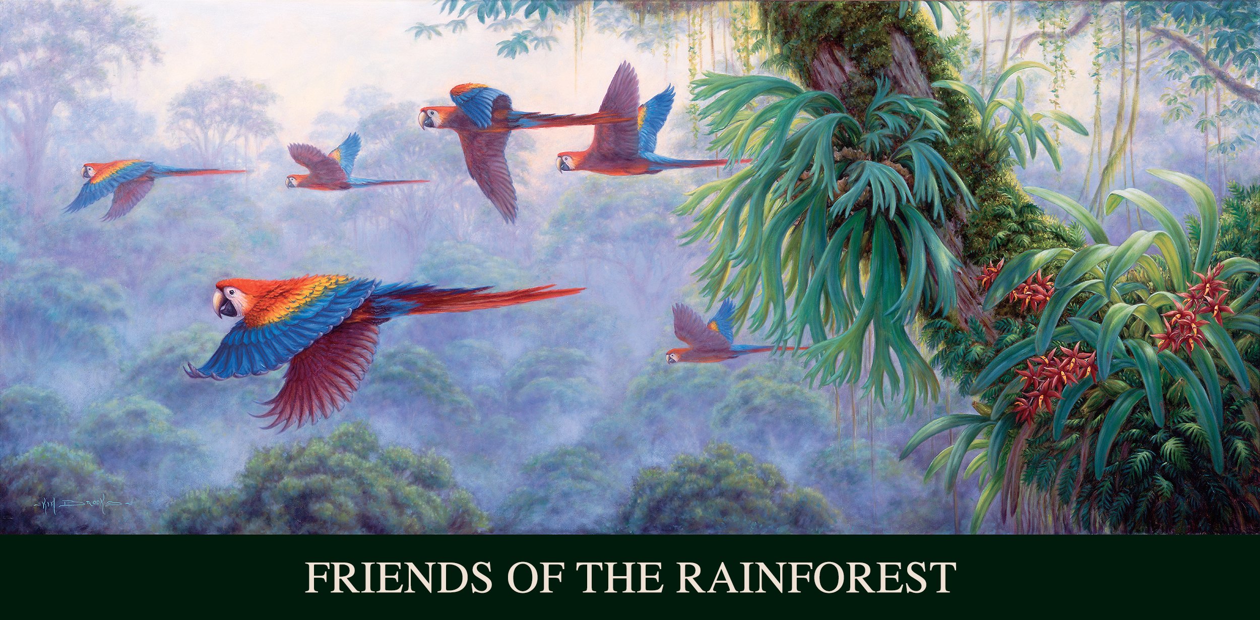 DawnPatrol, Friends of the Rainforest